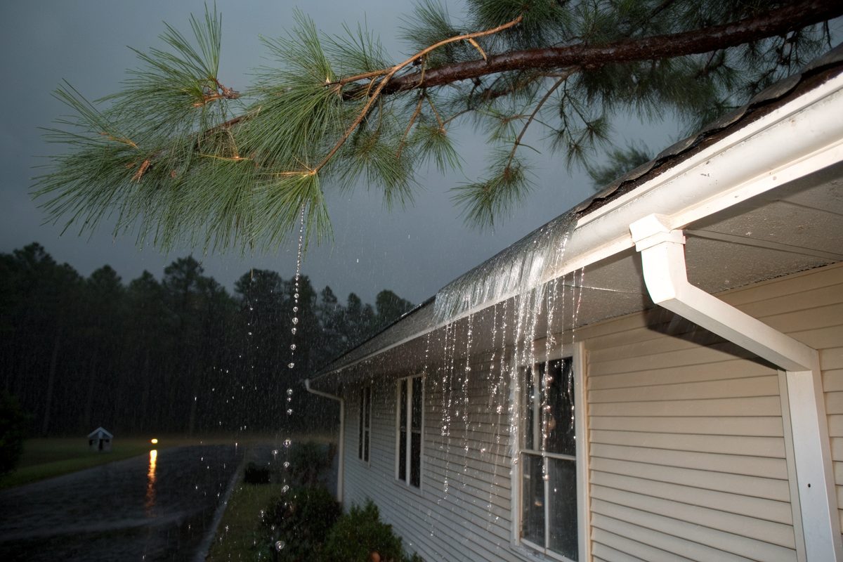 Rain spilling off a roof edge and gutter on a vinyl-sided house with pine branches overhead